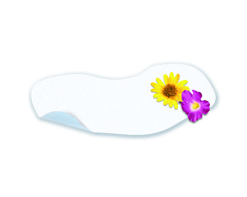 Pain relief plasters with arnica & devil's claw - for neck, shoulder, wrist and knee